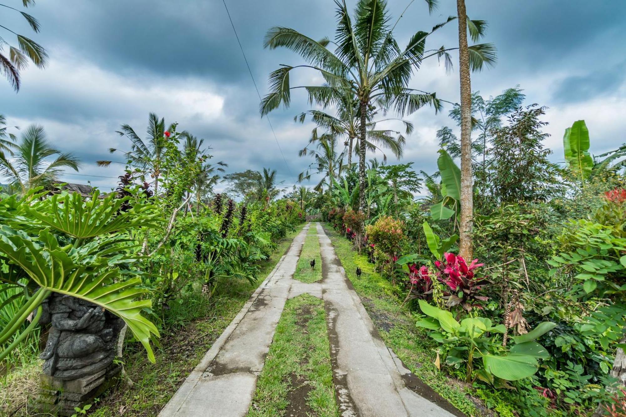 Ritual Ubud Gianyar  Exterior photo